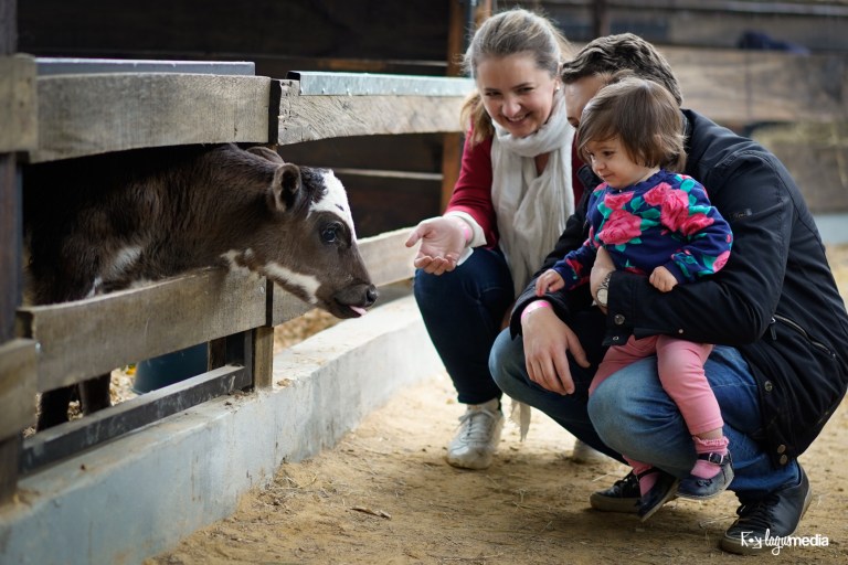 Elisa Acosta LOGO-29